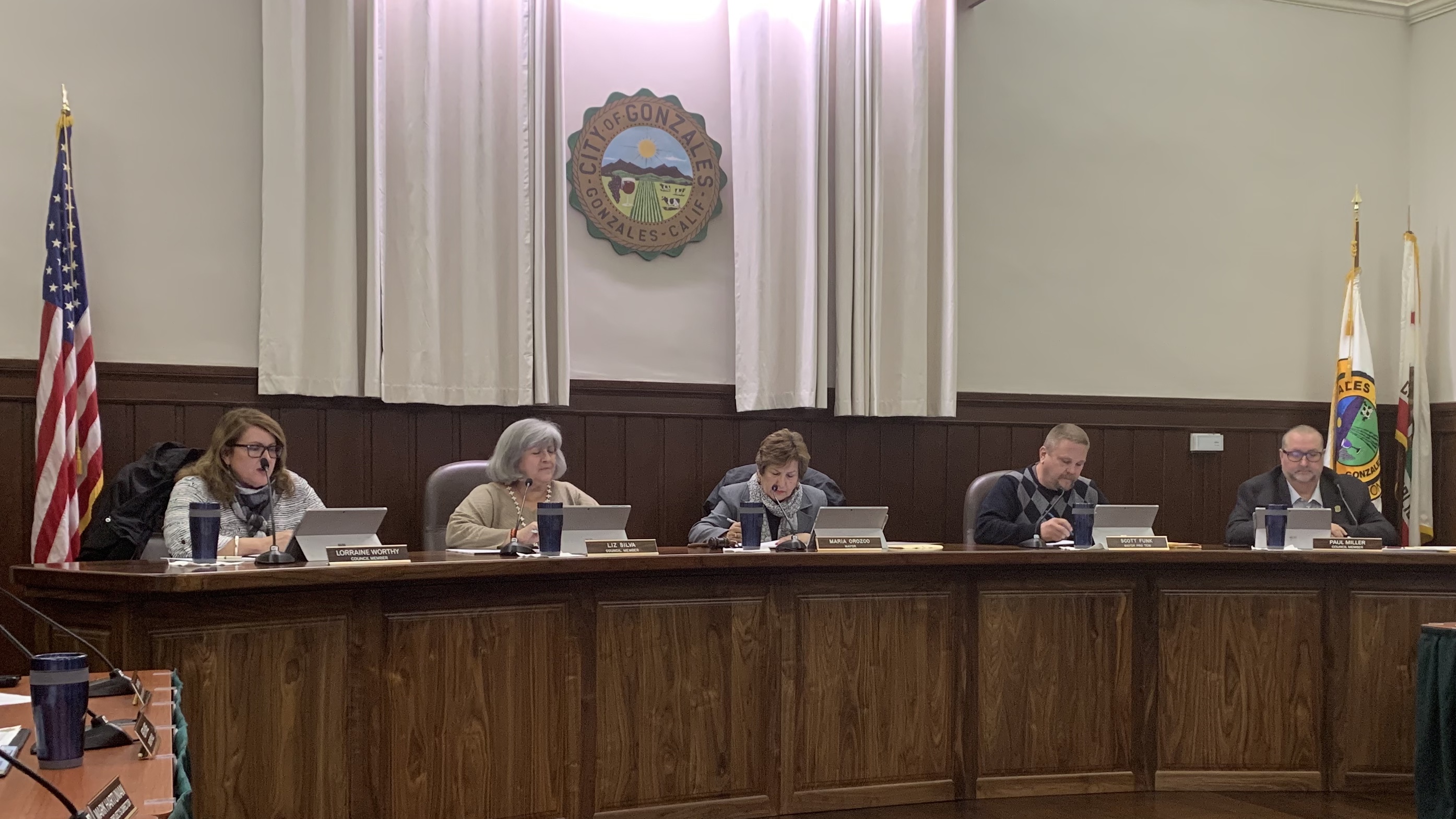 City Council at a public meeting