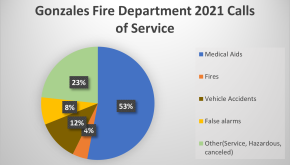 Pie chart of percentage of calls for GFD