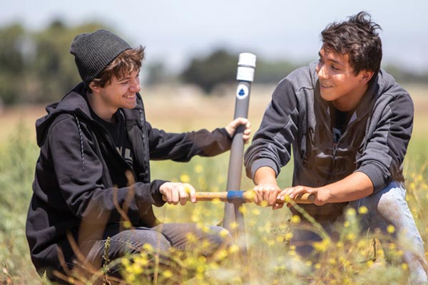 Gonzales Stem on the Farm