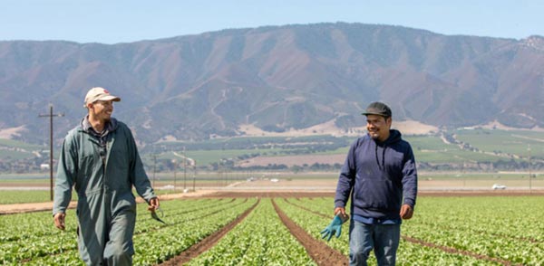 Two farmworkers in Gonzales CA