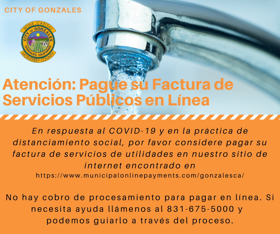 Pague factura por internet