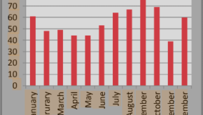 Bar Graph showing number of calls to Gonzales Fire Dept 1-2017 to 12-2017
