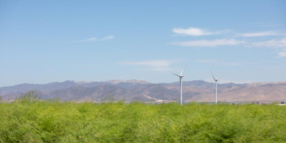 Windmill Turbines in Gonzales Field