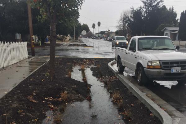 Puddle by street where Low Impact Development is being assessed
