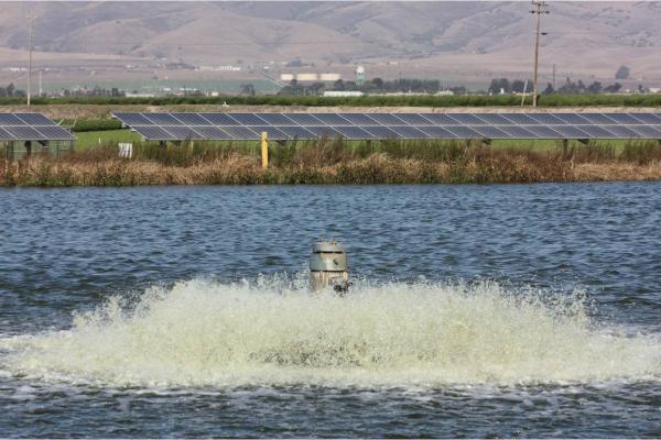 Water being filtered up through pipes