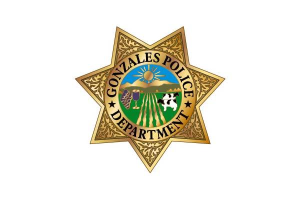 gold 7 pointed star with field, cows, mountains and sky in center circle